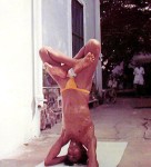 Padmåsana in Shirshåsana